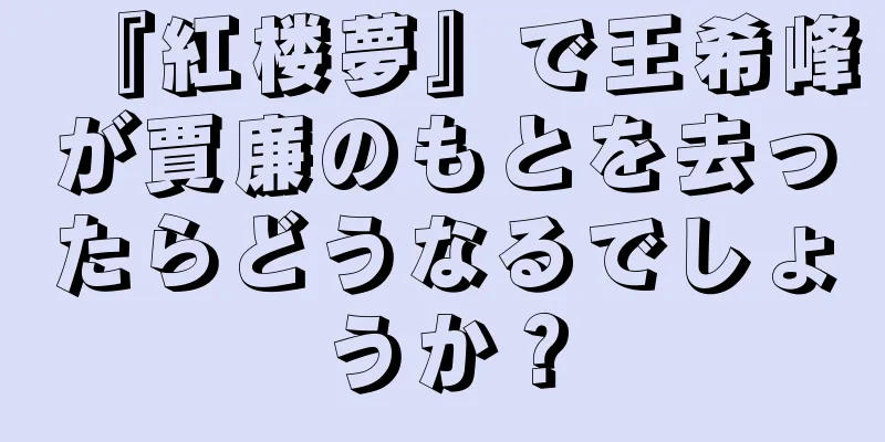 『紅楼夢』で王希峰が賈廉のもとを去ったらどうなるでしょうか？
