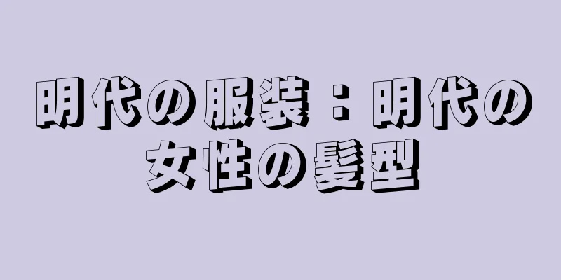 明代の服装：明代の女性の髪型