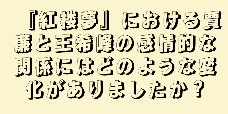 『紅楼夢』における賈廉と王希峰の感情的な関係にはどのような変化がありましたか？