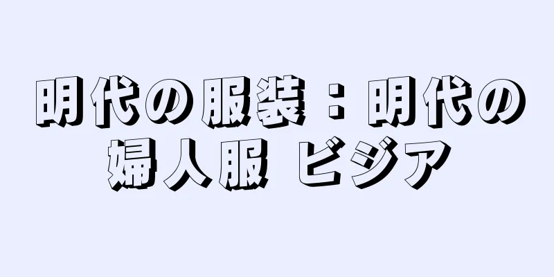 明代の服装：明代の婦人服 ビジア