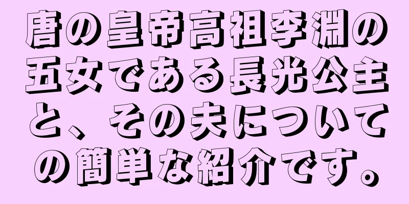 唐の皇帝高祖李淵の五女である長光公主と、その夫についての簡単な紹介です。