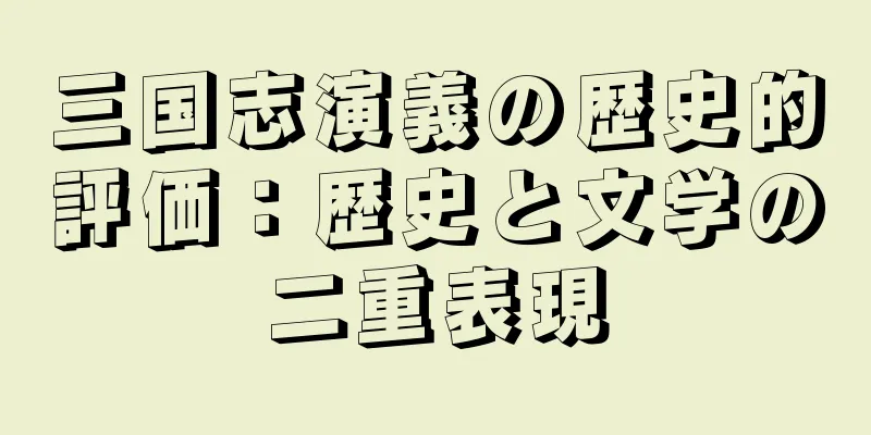 三国志演義の歴史的評価：歴史と文学の二重表現
