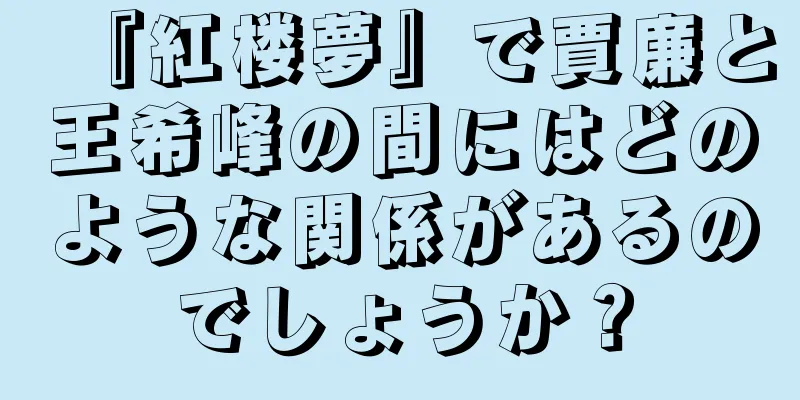 『紅楼夢』で賈廉と王希峰の間にはどのような関係があるのでしょうか？
