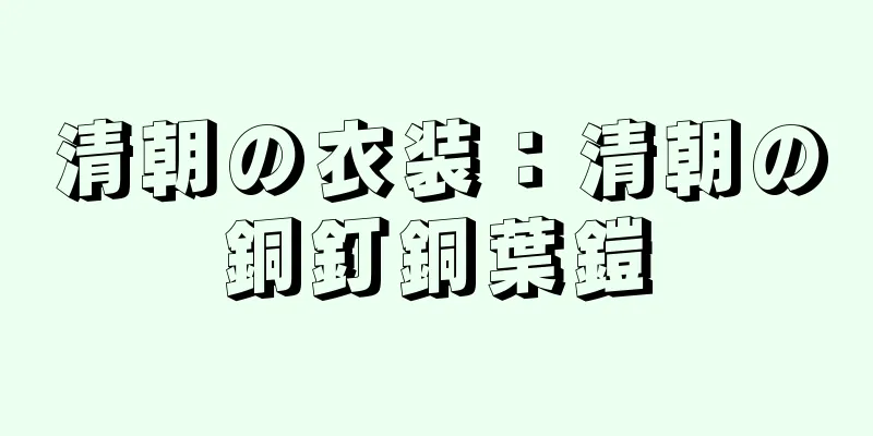 清朝の衣装：清朝の銅釘銅葉鎧