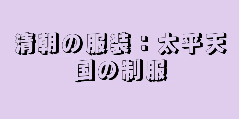 清朝の服装：太平天国の制服