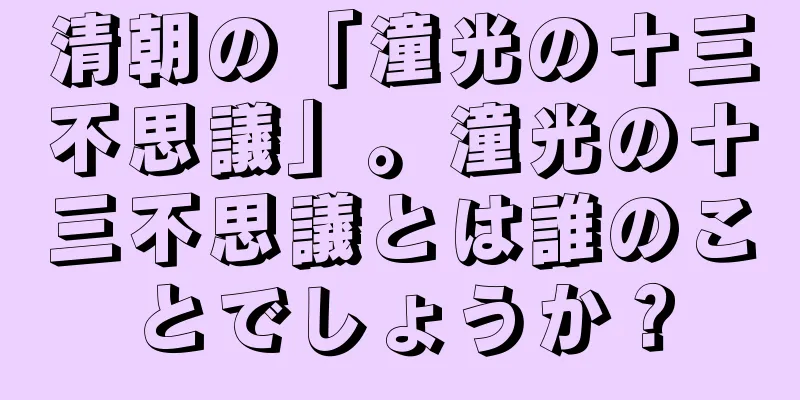 清朝の「潼光の十三不思議」。潼光の十三不思議とは誰のことでしょうか？