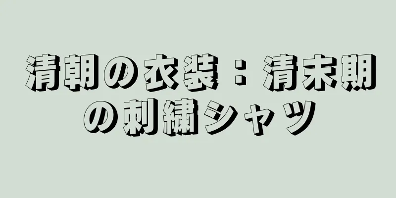 清朝の衣装：清末期の刺繍シャツ