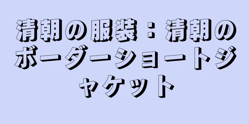 清朝の服装：清朝のボーダーショートジャケット