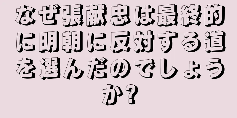 なぜ張献忠は最終的に明朝に反対する道を選んだのでしょうか?