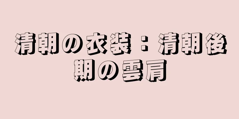 清朝の衣装：清朝後期の雲肩