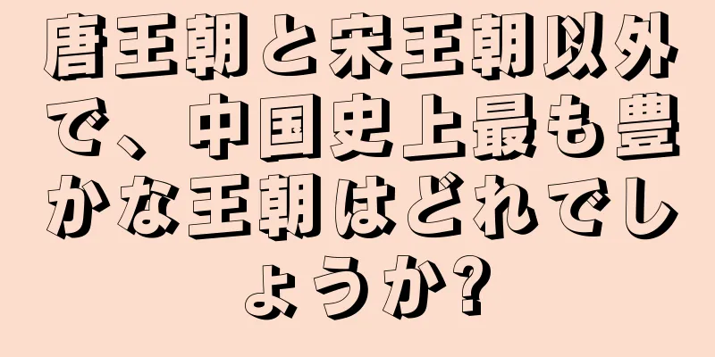 唐王朝と宋王朝以外で、中国史上最も豊かな王朝はどれでしょうか?