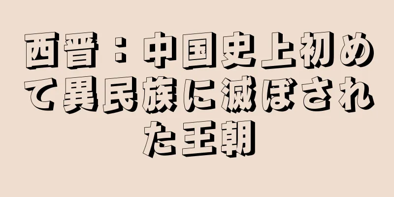 西晋：中国史上初めて異民族に滅ぼされた王朝