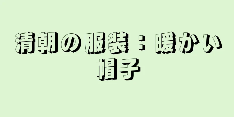 清朝の服装：暖かい帽子