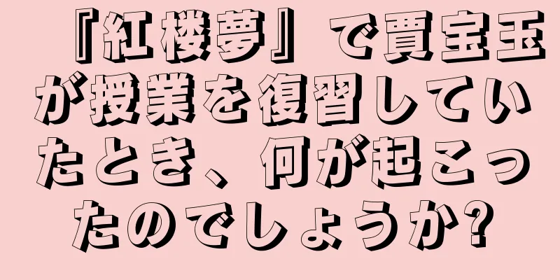 『紅楼夢』で賈宝玉が授業を復習していたとき、何が起こったのでしょうか?