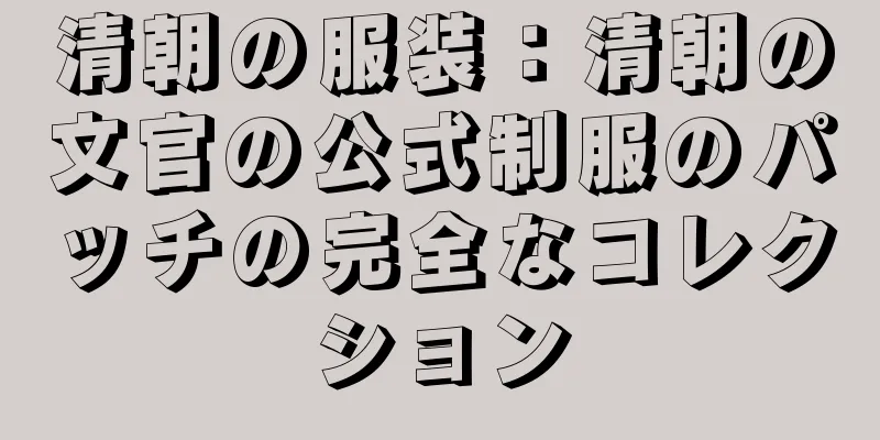 清朝の服装：清朝の文官の公式制服のパッチの完全なコレクション