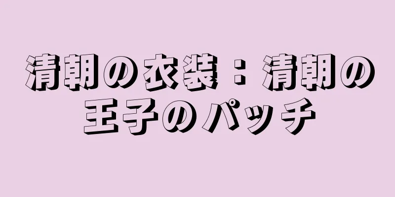 清朝の衣装：清朝の王子のパッチ