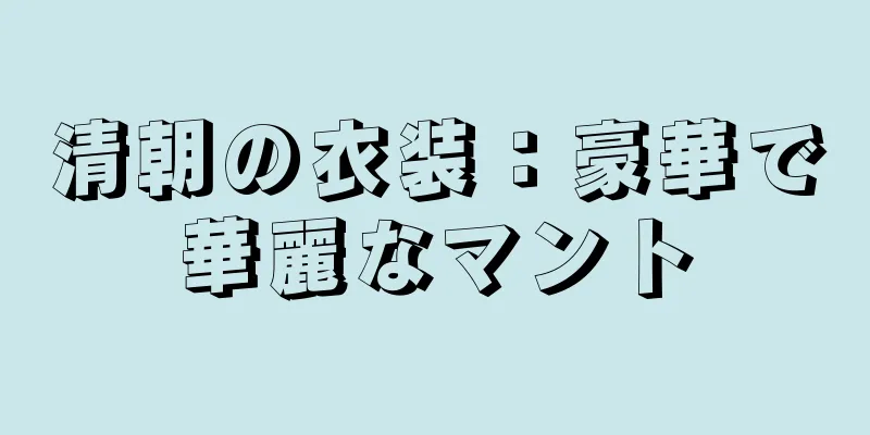 清朝の衣装：豪華で華麗なマント