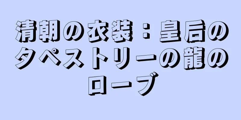 清朝の衣装：皇后のタペストリーの龍のローブ