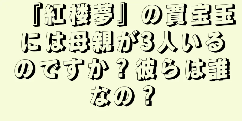 『紅楼夢』の賈宝玉には母親が3人いるのですか？彼らは誰なの？