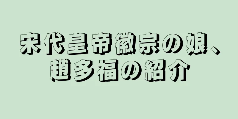 宋代皇帝徽宗の娘、趙多福の紹介