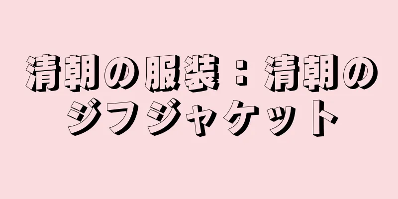 清朝の服装：清朝のジフジャケット