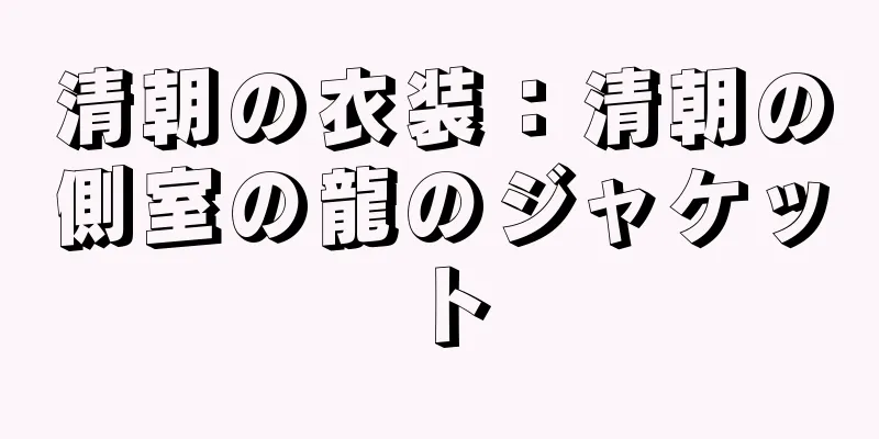 清朝の衣装：清朝の側室の龍のジャケット