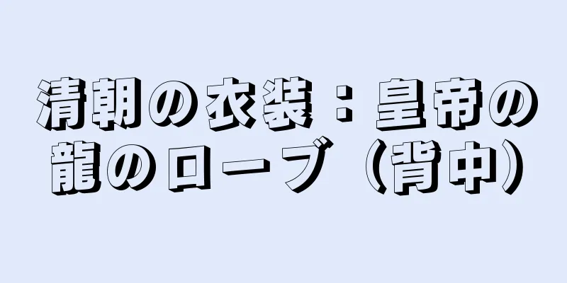 清朝の衣装：皇帝の龍のローブ（背中）