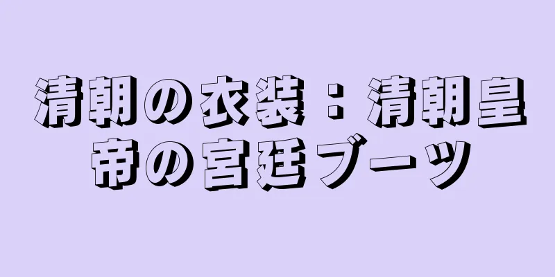 清朝の衣装：清朝皇帝の宮廷ブーツ