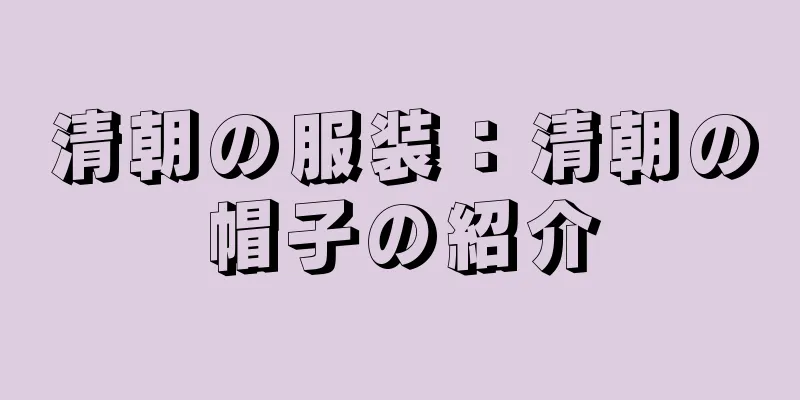 清朝の服装：清朝の帽子の紹介