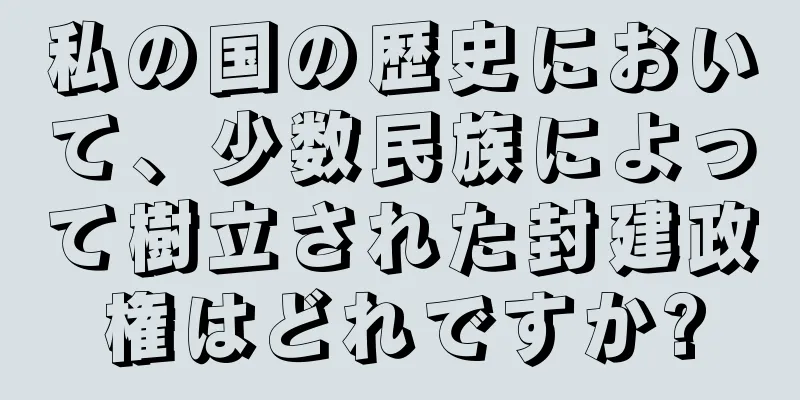 私の国の歴史において、少数民族によって樹立された封建政権はどれですか?
