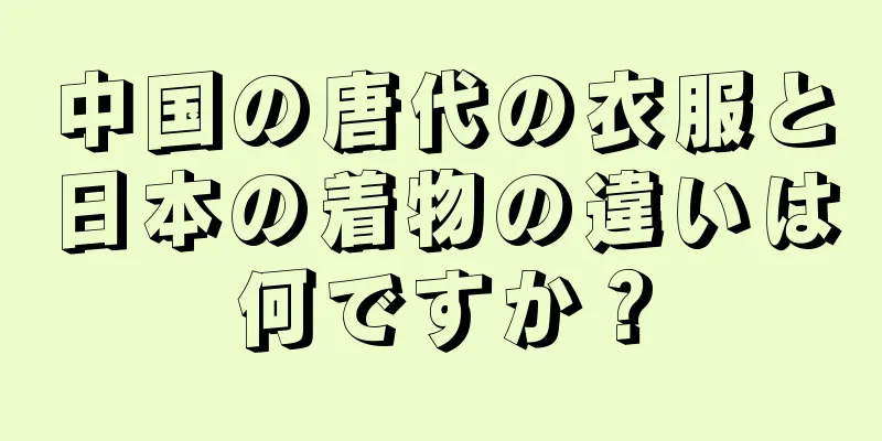中国の唐代の衣服と日本の着物の違いは何ですか？