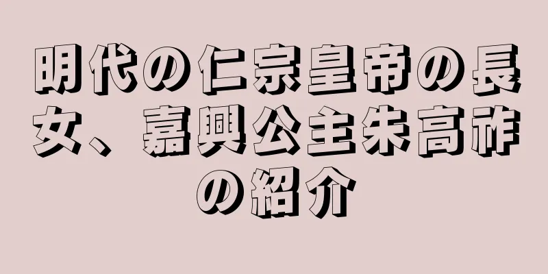明代の仁宗皇帝の長女、嘉興公主朱高祚の紹介