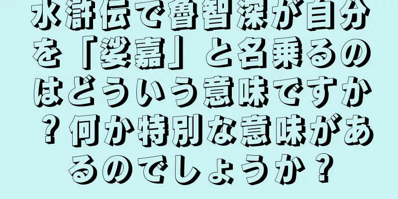 水滸伝で魯智深が自分を「娑嘉」と名乗るのはどういう意味ですか？何か特別な意味があるのでしょうか？