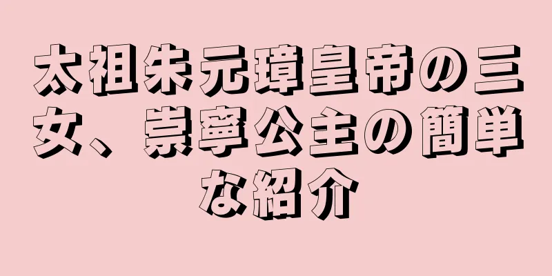 太祖朱元璋皇帝の三女、崇寧公主の簡単な紹介