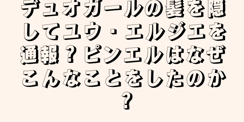 デュオガールの髪を隠してユウ・エルジエを通報？ピンエルはなぜこんなことをしたのか？
