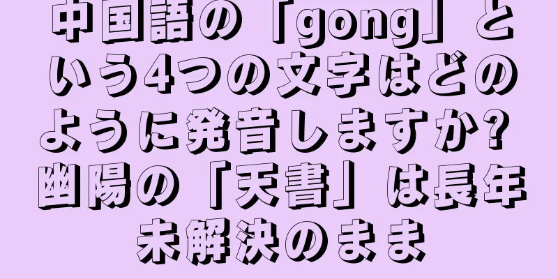 中国語の「gong」という4つの文字はどのように発音しますか? 幽陽の「天書」は長年未解決のまま