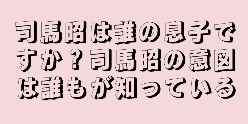 司馬昭は誰の息子ですか？司馬昭の意図は誰もが知っている