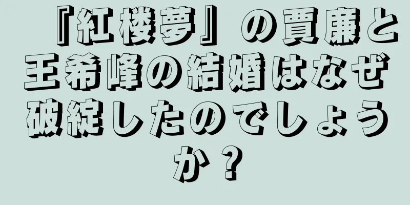 『紅楼夢』の賈廉と王希峰の結婚はなぜ破綻したのでしょうか？