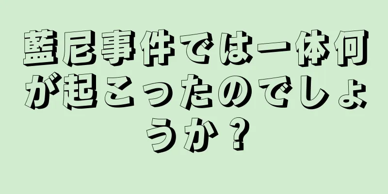 藍尼事件では一体何が起こったのでしょうか？