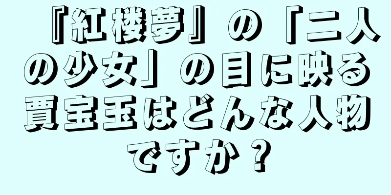 『紅楼夢』の「二人の少女」の目に映る賈宝玉はどんな人物ですか？