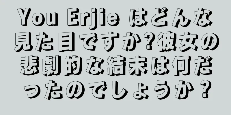 You Erjie はどんな見た目ですか?彼女の悲劇的な結末は何だったのでしょうか？