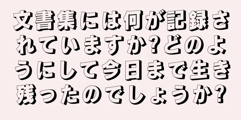 文書集には何が記録されていますか?どのようにして今日まで生き残ったのでしょうか?