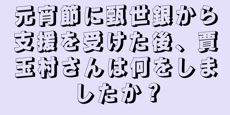 元宵節に甄世銀から支援を受けた後、賈玉村さんは何をしましたか？
