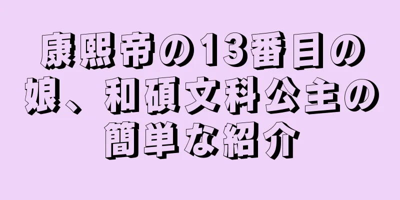 康熙帝の13番目の娘、和碩文科公主の簡単な紹介
