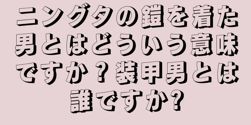 ニングタの鎧を着た男とはどういう意味ですか？装甲男とは誰ですか?