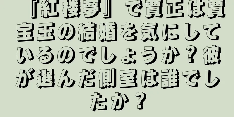 『紅楼夢』で賈正は賈宝玉の結婚を気にしているのでしょうか？彼が選んだ側室は誰でしたか？