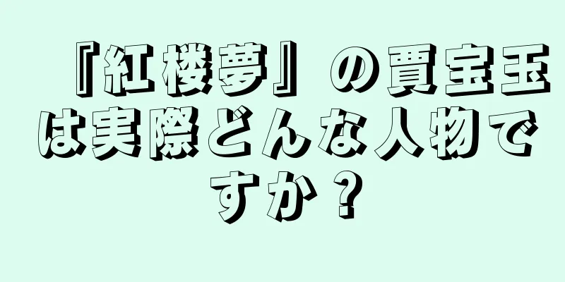 『紅楼夢』の賈宝玉は実際どんな人物ですか？