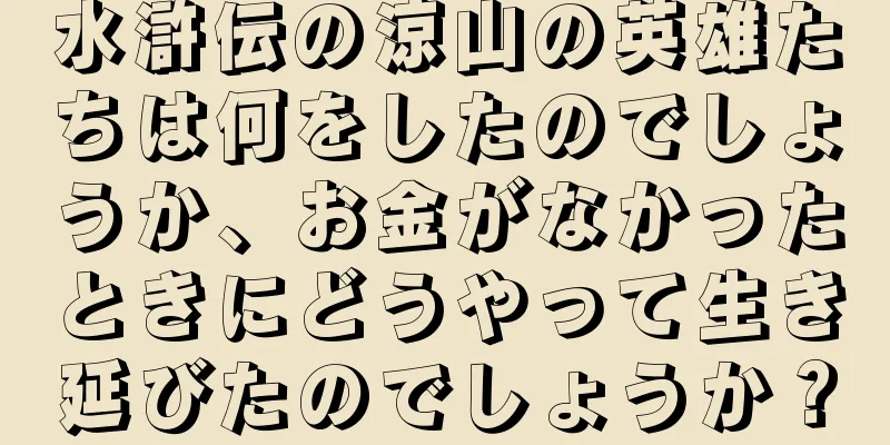 水滸伝の涼山の英雄たちは何をしたのでしょうか、お金がなかったときにどうやって生き延びたのでしょうか？