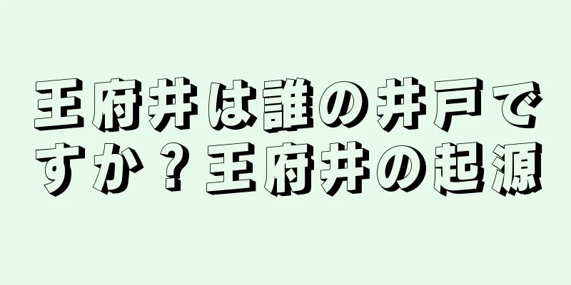 王府井は誰の井戸ですか？王府井の起源