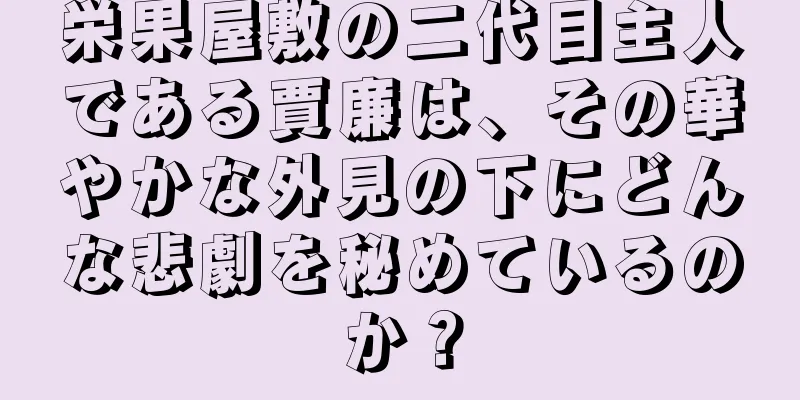 栄果屋敷の二代目主人である賈廉は、その華やかな外見の下にどんな悲劇を秘めているのか？